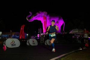 BIB: 
                            <button type="button" onclick="openModal(26543472)" class="btn btn-primary btn-sm float-right btn-popup" data-toggle="modal" data-target=".modal-high-quality">
                        <i class="fas fa-shopping-cart"></i> Add to Cart
                    </button>
                                            <button type="button" onclick="isThisMe(26543472, true)" class="btn btn-success btn-sm float-right btn-popup btn-isme hidden" data-toggle="tooltip" data-placement="bottom" title="นี่คือรูปของคุณใช่ไหม คลิกที่นี่เพื่อเอาเข้าอัลบั้ม">
                        <i class="fas fa-plus"></i> Add to album
                    </button>
                    <button type="button" onclick="isThisMe(26543472, false)" class="btn btn-warning btn-sm float-right btn-popup btn-isnotme hidden">
                        <i class="fas fa-ban"></i> Remove from album
                    </button>